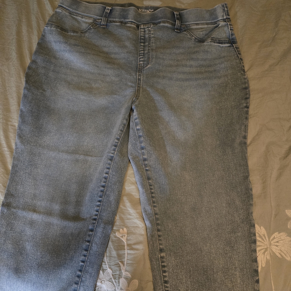 Terra & Sky Women's Straight Leg Blue Jeans